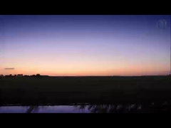 1000~8000 시리즈 전면 페인트 알루미늄 코일