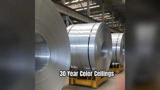 내구성이 뛰어난 알루미늄 천장 시트 30년 색상